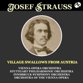 Village Swallows from Austria "Dorfschwalben aus Österreich",Waltz,Op. 164 artwork
