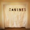Black Bay - Canines lyrics