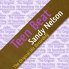 Sandy Nelson - Teen Beat
