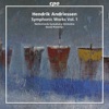 Netherlands Symphony Orchestra - Symphony No. 1: I. Lento - Allegro moderato, ma marcato
