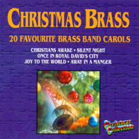Christchurch Citadel Salvation Army Band - Christmas Brass - 20 Favourite Carols artwork