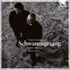 Schubert: Schwanengesang album lyrics, reviews, download