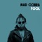 Dead End Street (feat. Geto Boys) - Mad Cobra lyrics