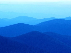 CLoSE-uP - Colorado BIZness Happenings for week of Mar 10th