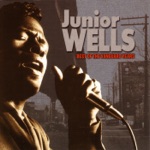 Junior Wells - Shake It Baby