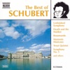 Schubert: Best of Schubert (The) artwork