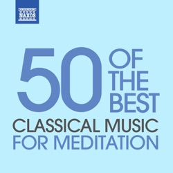 Ernst Ottensamer, Johannes Wildner & Vienna Mozart Academy - Clarinet Concerto No. 1 in F minor, Op. 73: II. Adagio ma non troppo