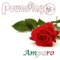 Amparo - PowerPlay FYI lyrics