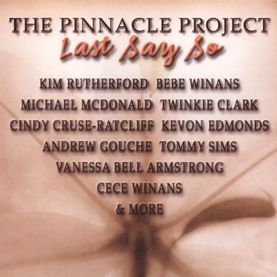 Cover artwork for Last Say So