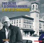 David Calzado y Su Charanga Habanera - Chico Caramelo
