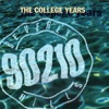 Beverly Hills, 90210 (The College Years) artwork