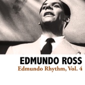 Edmundo Rhythm, Vol. 4 artwork