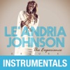 The Experience (Instrumentals)