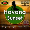 Havana Sunset Riddim