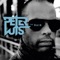 The Rain (Radio Edit) - Peter Luts lyrics