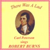 Comin' Through the Rye - Carl Peterson