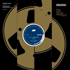HOSH Antonelli Screaming (Steve Bug Remix)