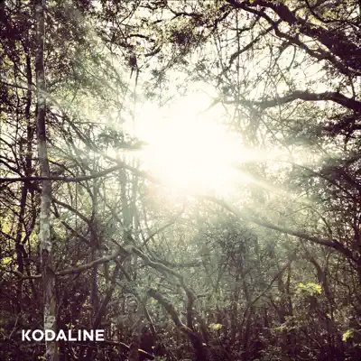 Perfect World - Single - Kodaline