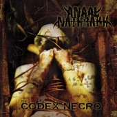 Anaal Nathrakh - The Technogoat