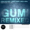 Gumi (Lukas Reither Remix) - Julian Wassermann & Audioleptika lyrics