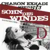 Stream & download Sohn des Windes (feat. STJ) - EP