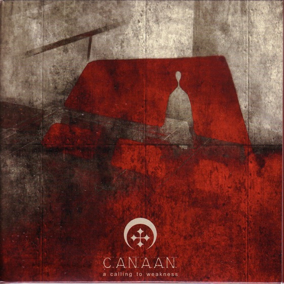 Cover artwork for Scars