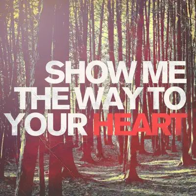 Show Me the Way to Your Heart - Single - Brian Doerksen