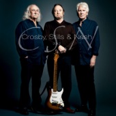 Crosby, Stills & Nash - Love the One You're With