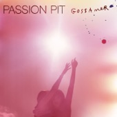Passion Pit - Mirrored Sea (Album Version)