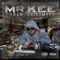 Any Cost - Mr. Kee lyrics