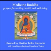 Medicine Buddha: Prayers for Healing, Health and Well-Being artwork
