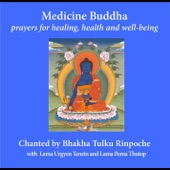 Medicine Buddha Lineage Prayer artwork