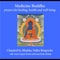 Offering Shower to Medicine Buddha and Seven Buddhas artwork