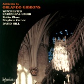 Gibbons: Anthems artwork