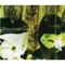 Japan Tour EP ジャケット写真