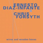 Ernesto Diaz-Infante & Chris Forsyth - passing One Another... Acoustic/electric #17