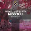 Stream & download Miss You (New World Remix)