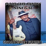 Paul "Li'l Buck" Sinegal - Shakin' the Zydeco