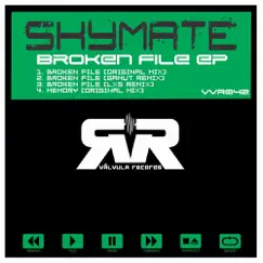 Broken File (LxS Remix) Song Lyrics