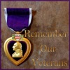 Remember Our Veterans artwork