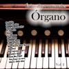 Éxitos Instrumentales: Organo Vol. 2, 2013