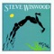 While You See A Chance - Steve Winwood