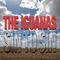 Todo Cambia - The Iguanas lyrics