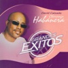 Grandes Exitos (Greatest Hits)