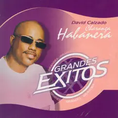 Grandes Exitos (Greatest Hits) by David Calzado y Su Charanga Habanera album reviews, ratings, credits