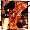 The Best of David Sanborn artwork