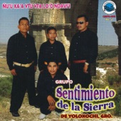 Grupo Sentimiento De La Sierra - Nie Ndou Xikueu Nui Na'a Lo'o