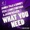 What You Need - James Talk & Ridney lyrics