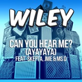 Can You Hear Me? (Ayayaya) artwork