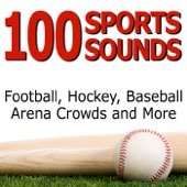 100 Sports Sounds: Football, Hockey, Baseball, Arena Crowds and More artwork